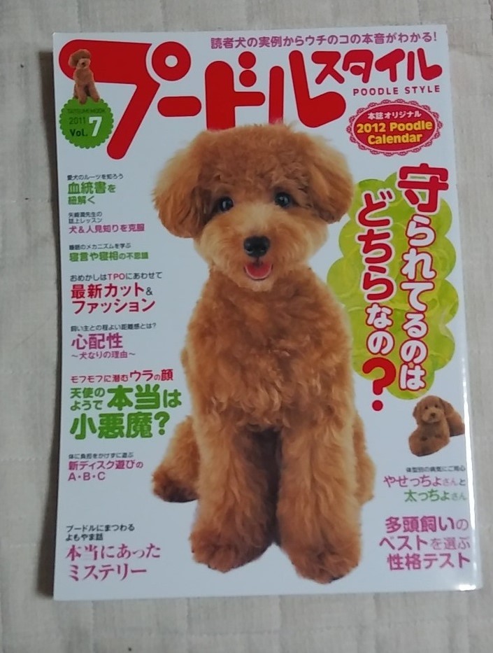  poodle style 2011 Vol.7