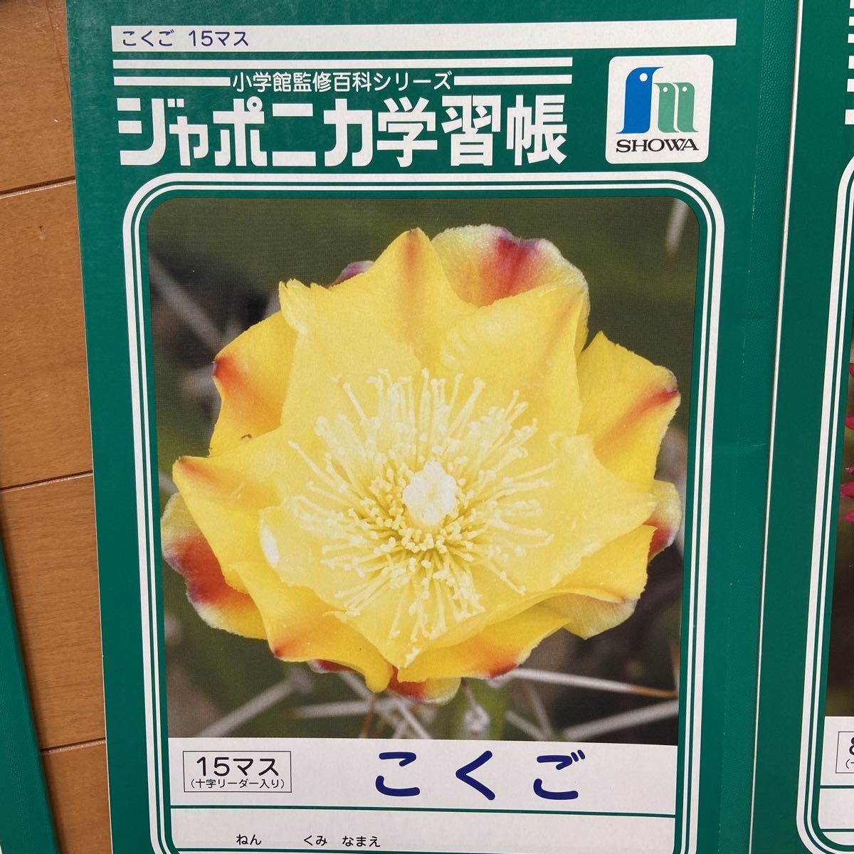 から厳選した ショウワノート ジャポニカ学習帳 1頁1日 Jb3 a6 あわせ買い から厳選した ショウワノート ジャポニカ学習帳 1頁1日 Jb3 a6 あわせ買い