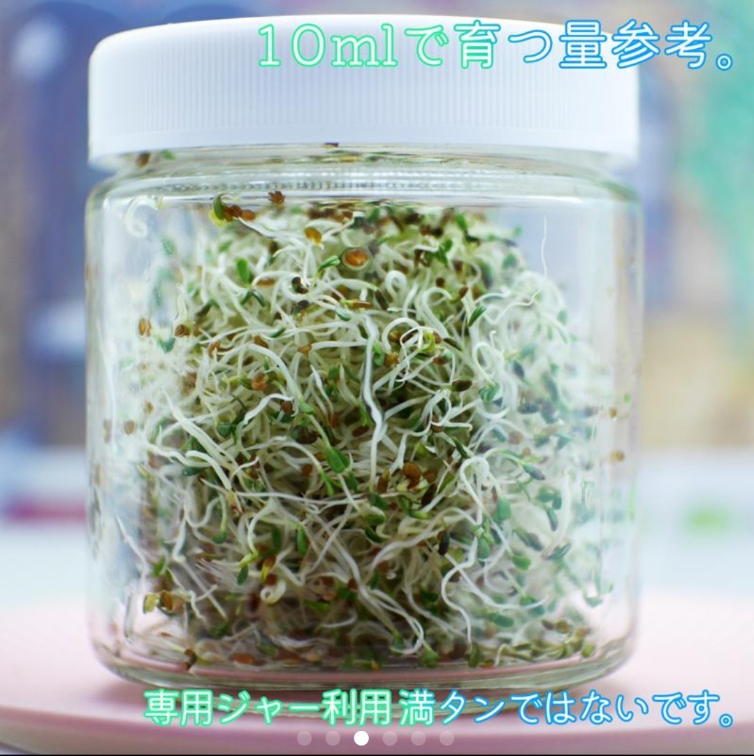 Paypayフリマ 野菜の王様 アルファルファ スプラウト 種子 タネ ml Paypayフリマ 野菜の王様 アルファルファ スプラウト 種子 タネ ml