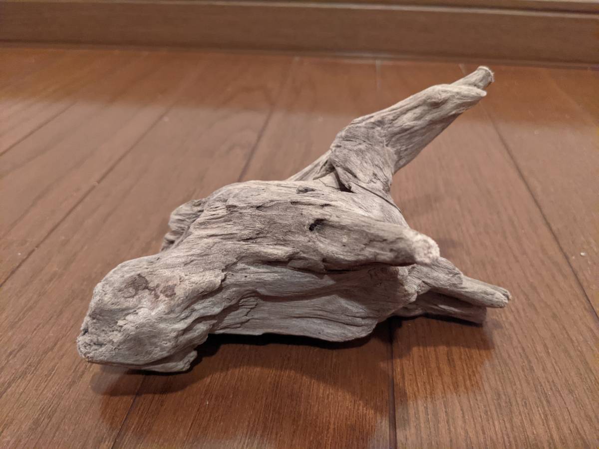 天然流木 水槽 1点物 アクアリウム オブジェ アート 15 10 8 5cm 大和川河口 爬虫類 インテリア Yahoo Japan Auction Bidding Amp Shopping Support Deputy Service Japamart 天然流木 水槽 1点物 アクアリウム オブジェ アート 15 10 8 5cm 大和川河口 爬虫類 インテリア Yahoo Japan Auction Bidding Amp Shopping Support Deputy Service Japamart