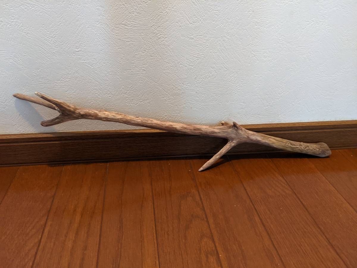 * natural driftwood aquarium 1 point thing aquarium objet d'art art 57.5×10×5cm Yamato river outfall reptiles interior branch 