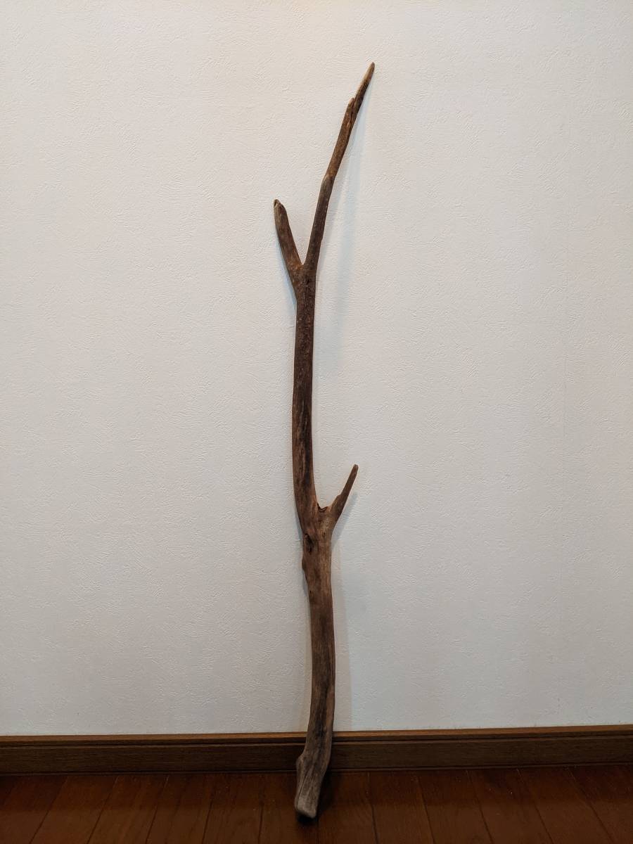 * natural driftwood aquarium 1 point thing aquarium objet d'art art 101×14.5×4.5cm Yamato river outfall reptiles interior large branch 