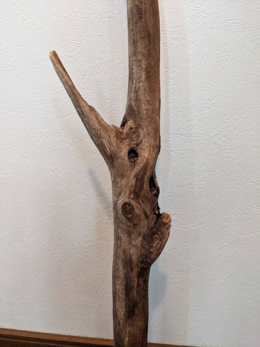 * natural driftwood aquarium 1 point thing aquarium objet d'art art 101×14.5×4.5cm Yamato river outfall reptiles interior large branch 