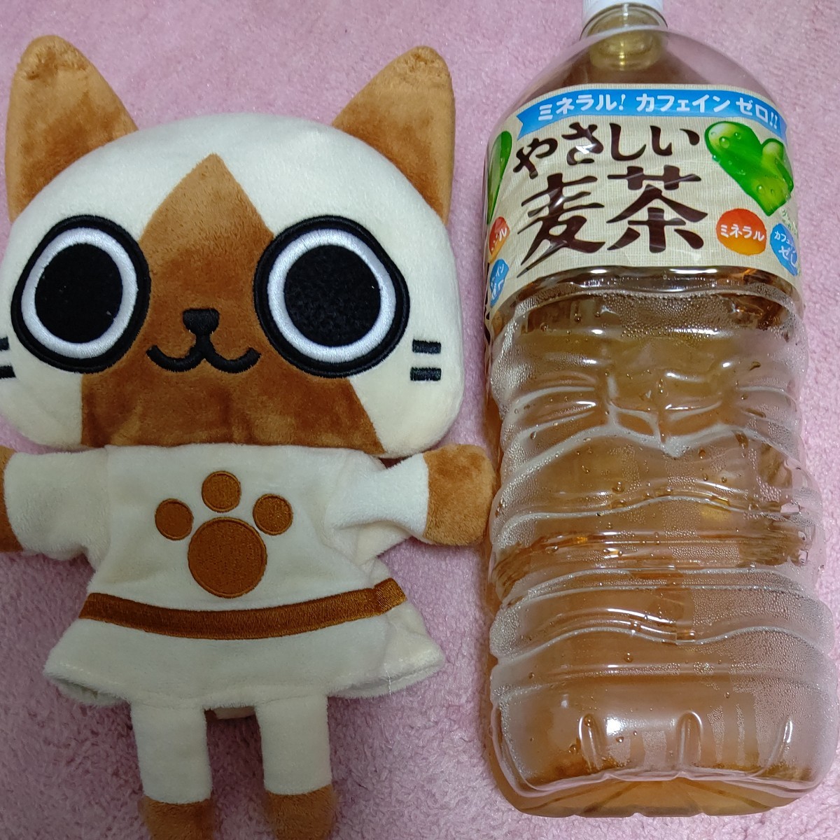 Paypayフリマ ぬいぐるみ パペット アイルー Paypayフリマ ぬいぐるみ パペット アイルー