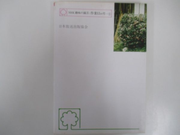 NHK hobby. gardening work 12 month...① - camellia *sa The nka author : Nakamura . male Japan broadcast publish association Showa era 53 year 5 month 20 day no. 10.yo0305 BD-4