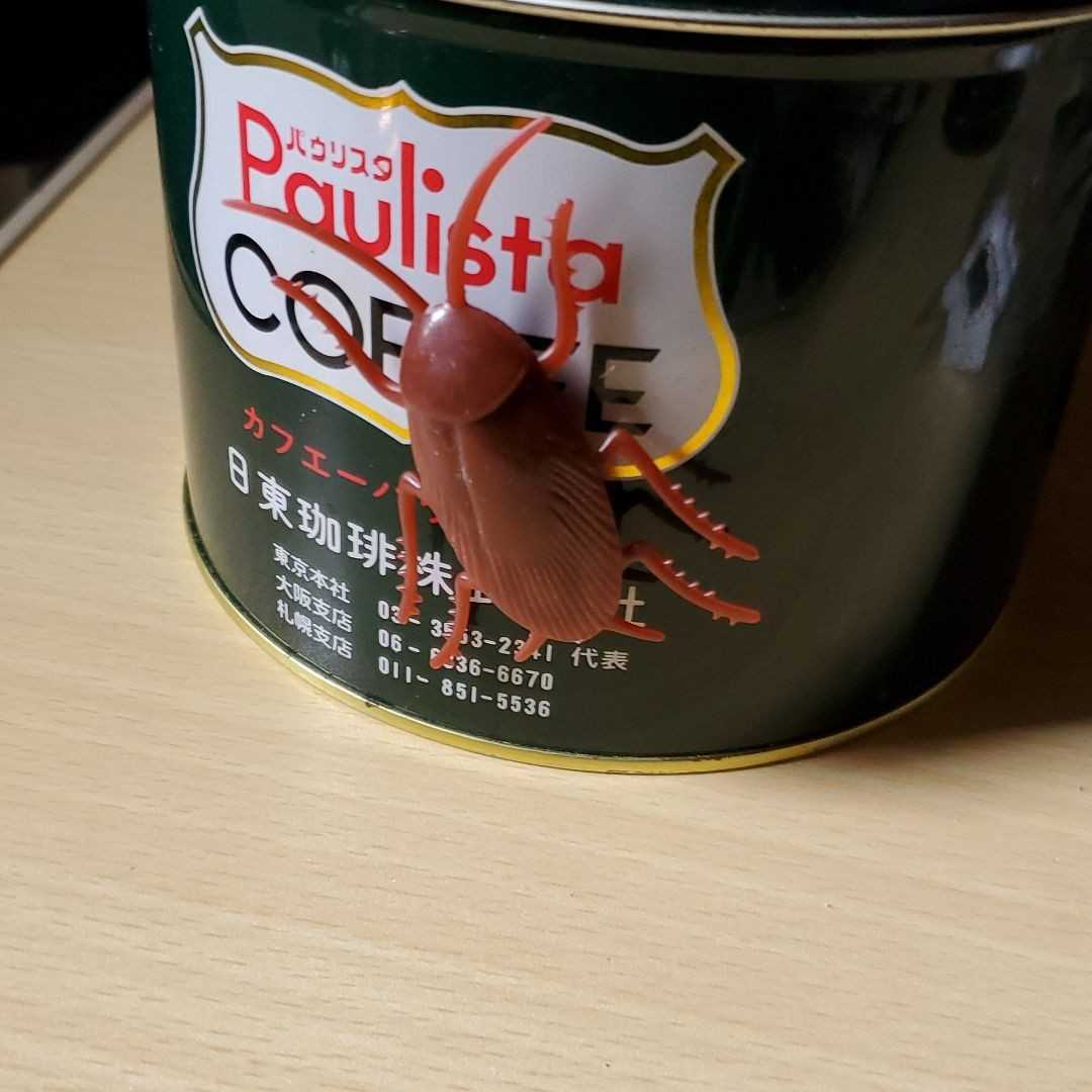 ゴキブリ おもちゃの値段と価格推移は 78件の売買情報を集計したゴキブリ おもちゃの価格や価値の推移データを公開 ゴキブリ おもちゃの値段と価格推移は 78件の売買情報を集計したゴキブリ おもちゃの価格や価値の推移データを公開