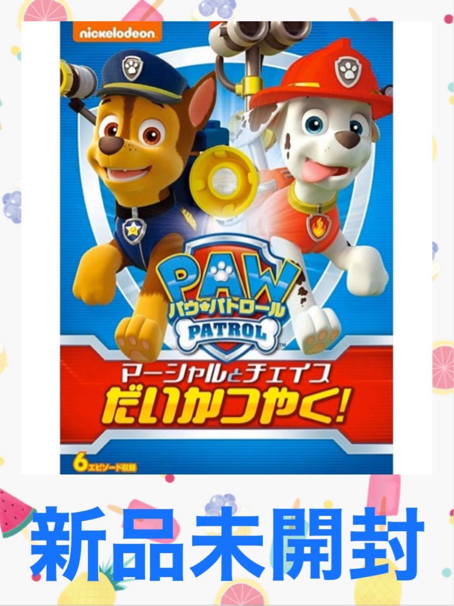 【ぷりん様専用】パウパトロール DVD 2枚セット