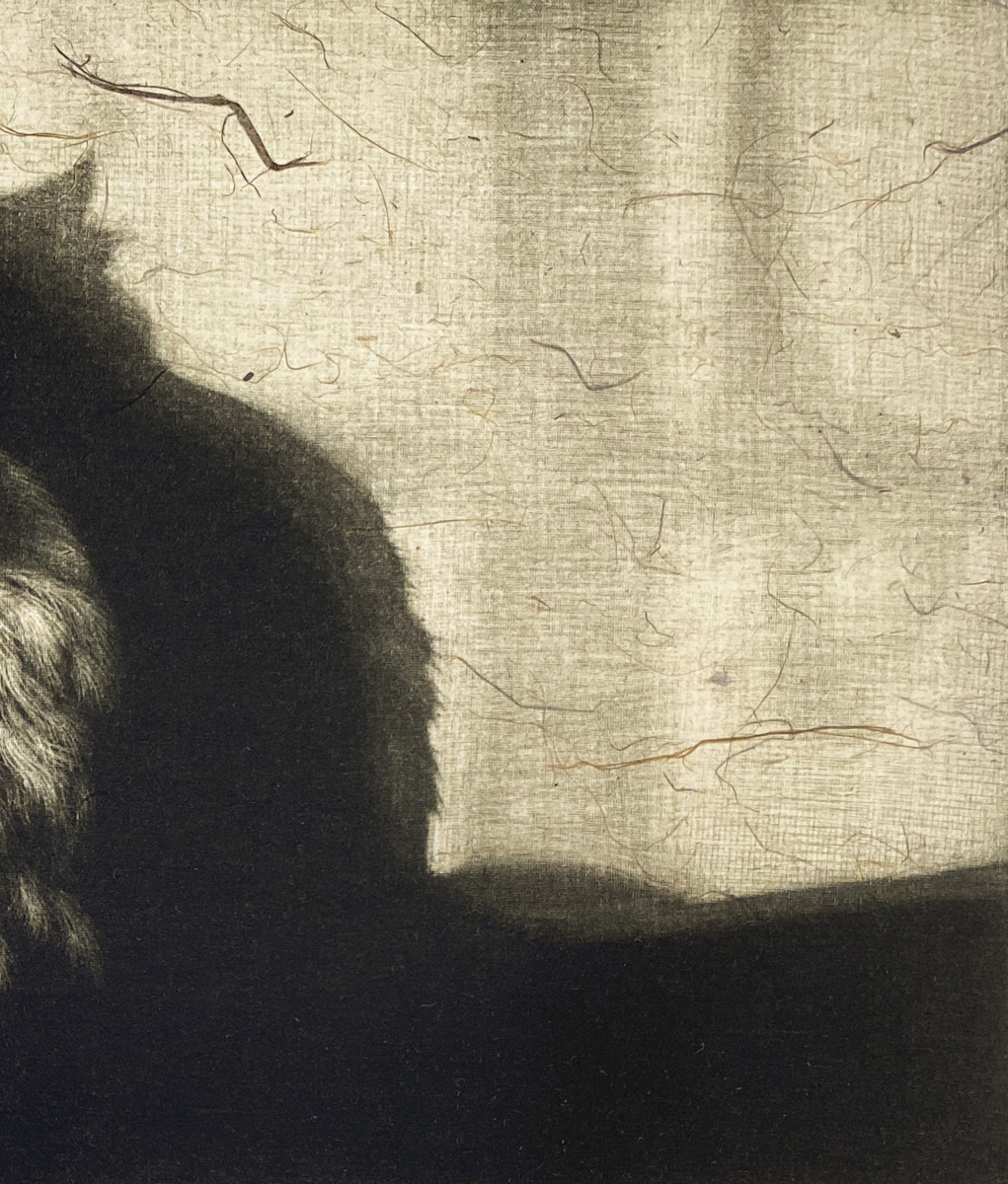 生田宏司「Shadow・III」銅版画　メゾチント　額装　猫　ねこ　影_画像4