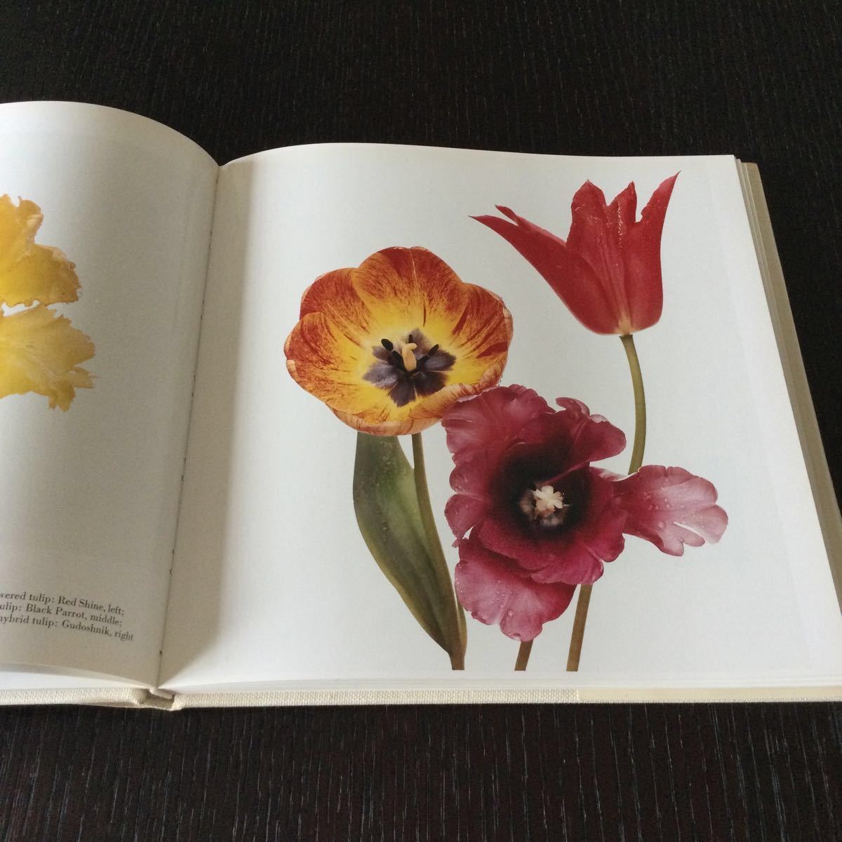 Irving Penn FLOWERS アーヴィング・ペン 写真集 初版