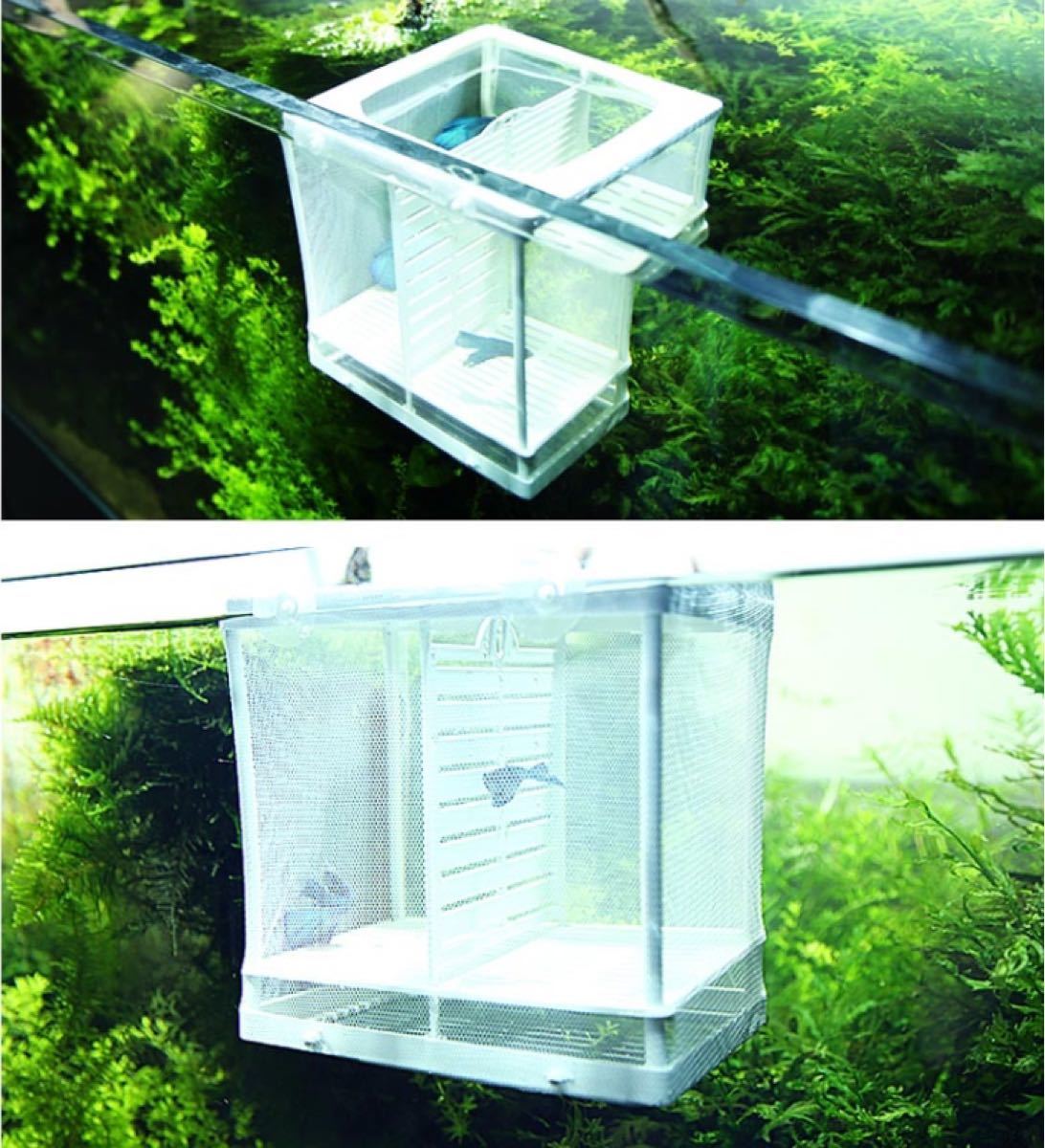 Paypayフリマ 水族館繁殖箱2点セットダブルグッピー 孵化インキュベーター 隔離ボックス産卵箱 Paypayフリマ 水族館繁殖箱2点セットダブルグッピー 孵化インキュベーター 隔離ボックス産卵箱