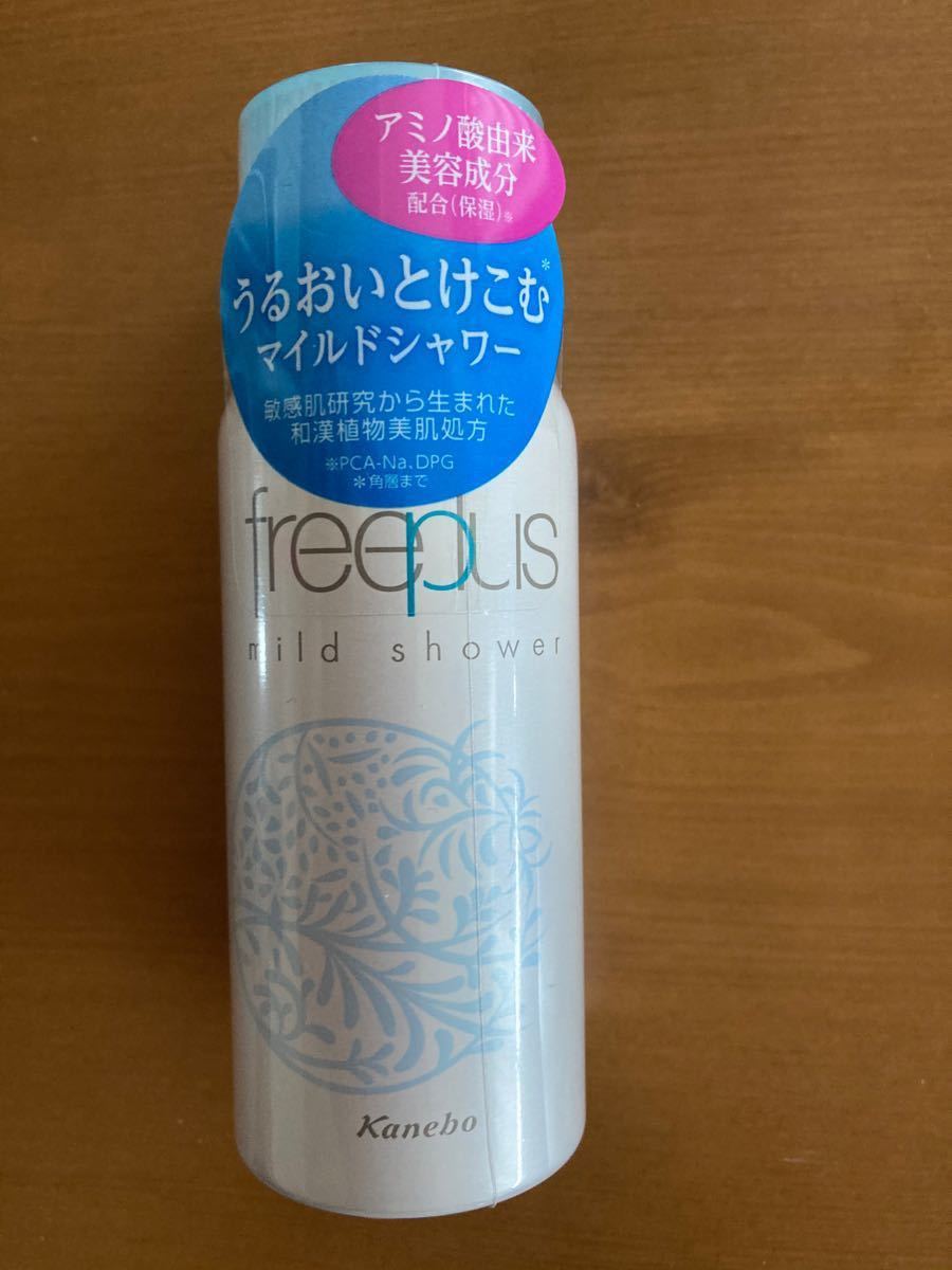 新年の贈り物 Kanebo ミニ本 - その他 - guiacieneguilla.com