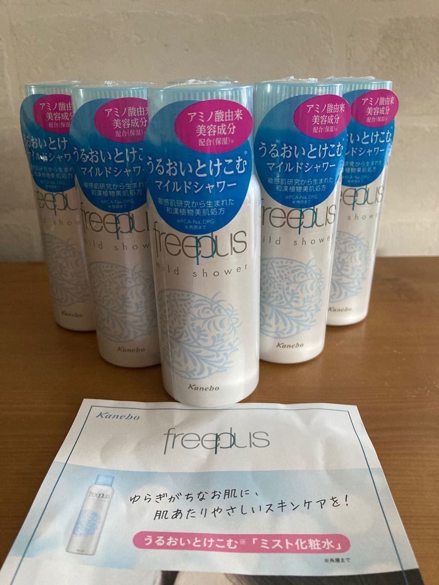 新年の贈り物 Kanebo ミニ本 - その他 - guiacieneguilla.com