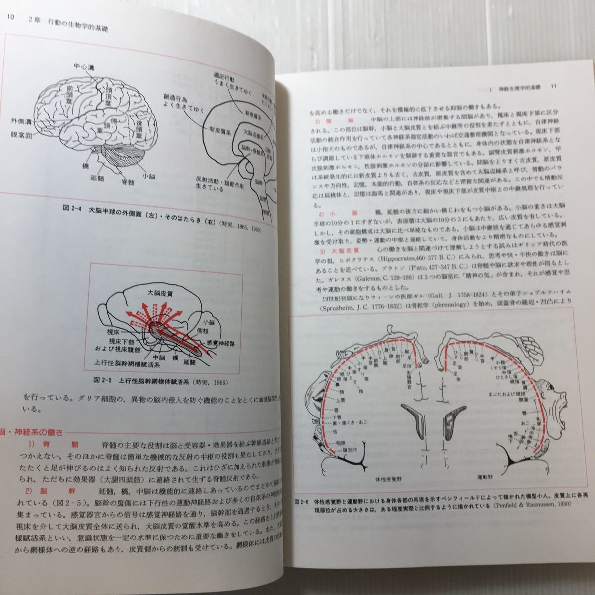 zaa-173 人間理解の科学―心理学への招待 単行本 1995/5/10 鈴木 清