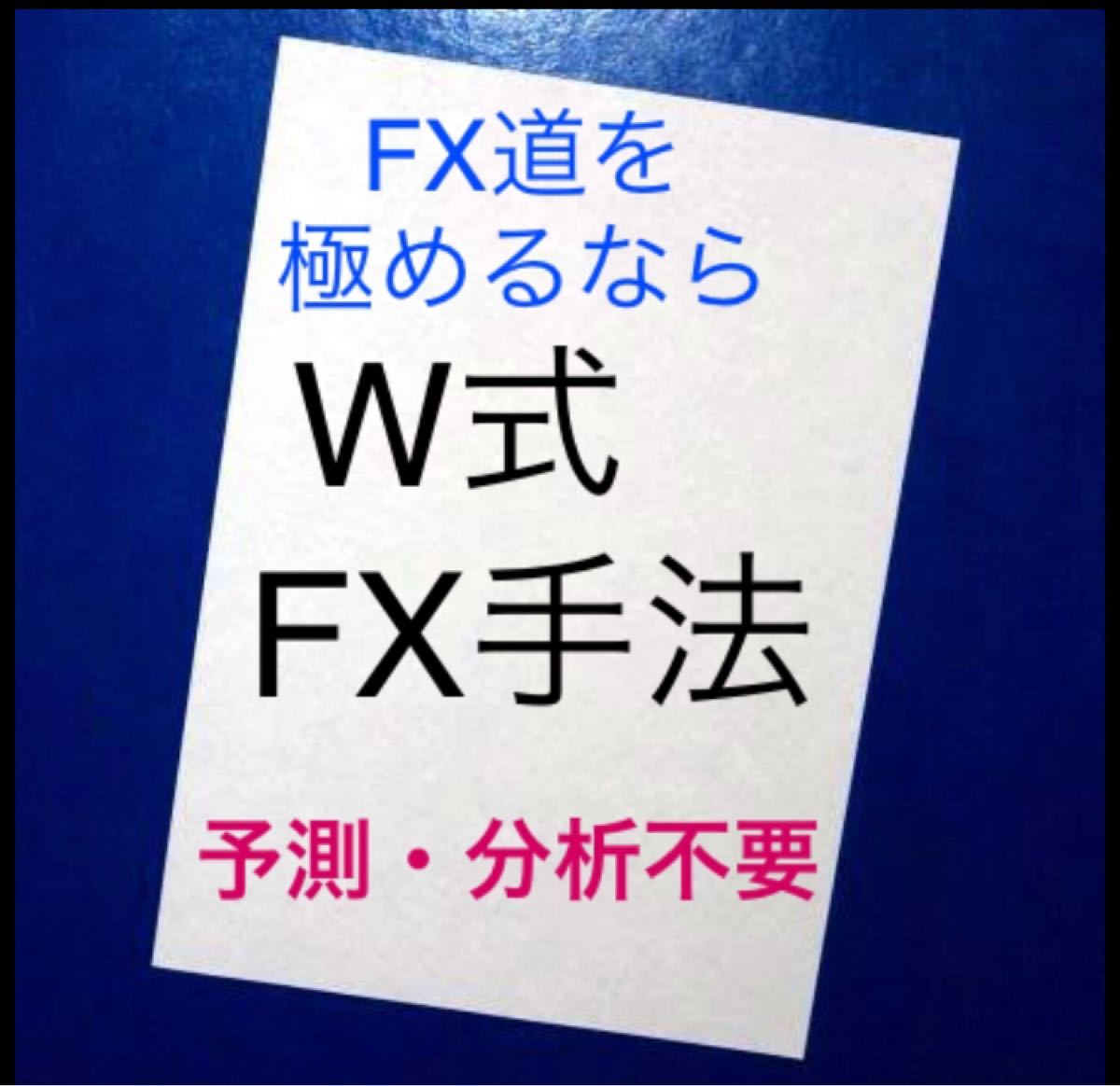 W式FX手法【1名様限定価格】