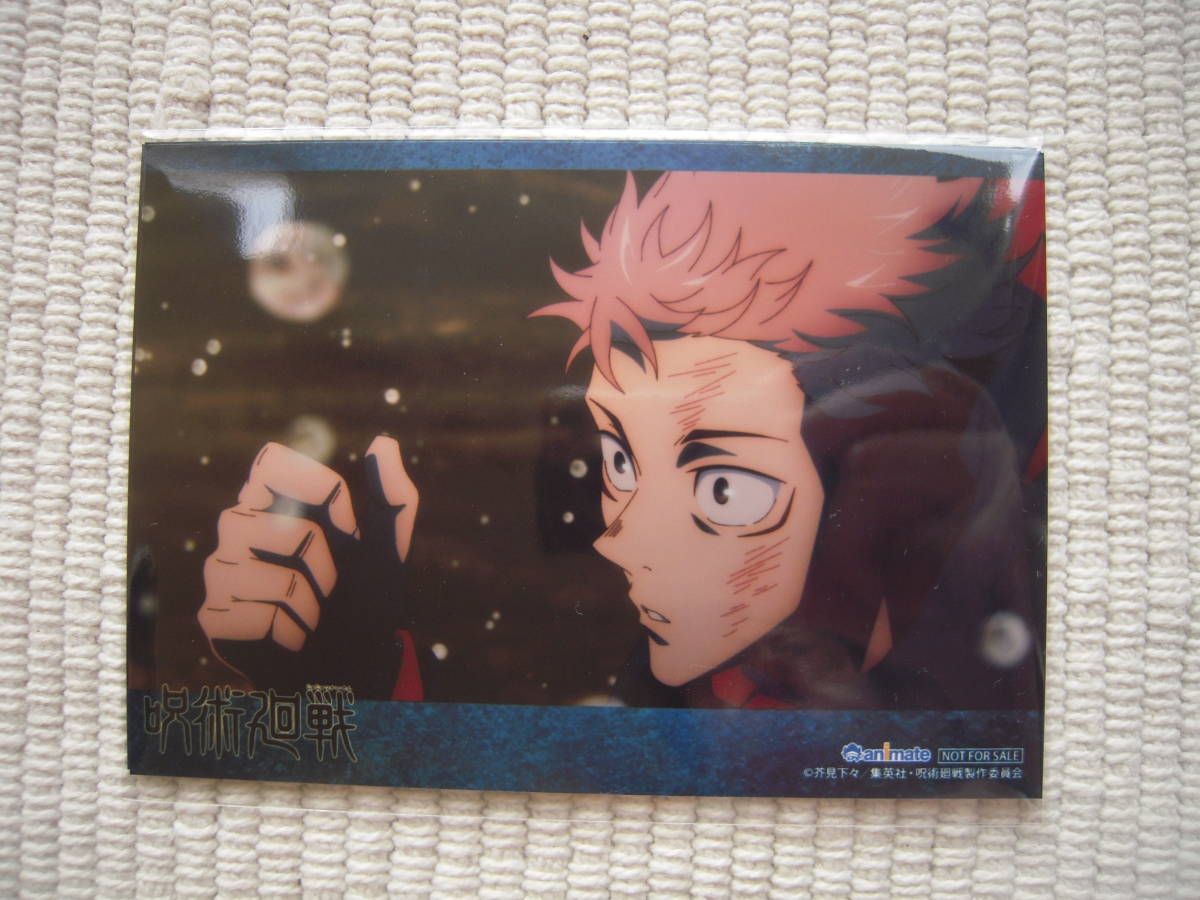 ヤフオク bd 呪術廻戦 第5巻 早期予約 アニメイト特典 ヤフオク bd 呪術廻戦 第5巻 早期予約 アニメイト特典