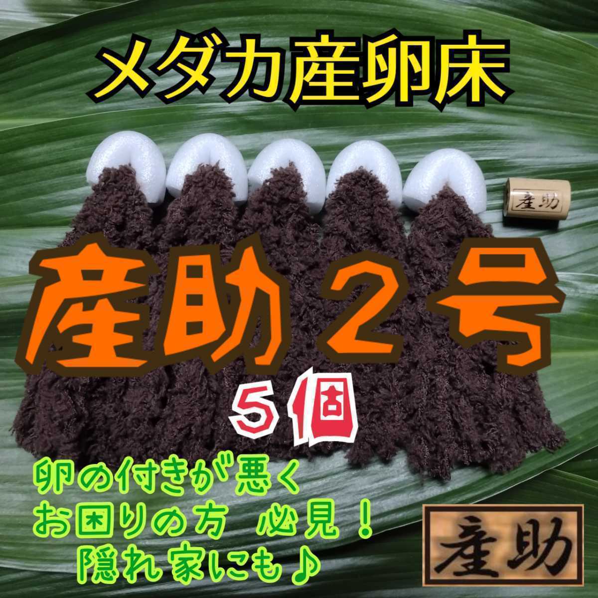 Paypayフリマ メダカ産卵床 10 産助 さんすけ 2号 組立不要 金魚にも