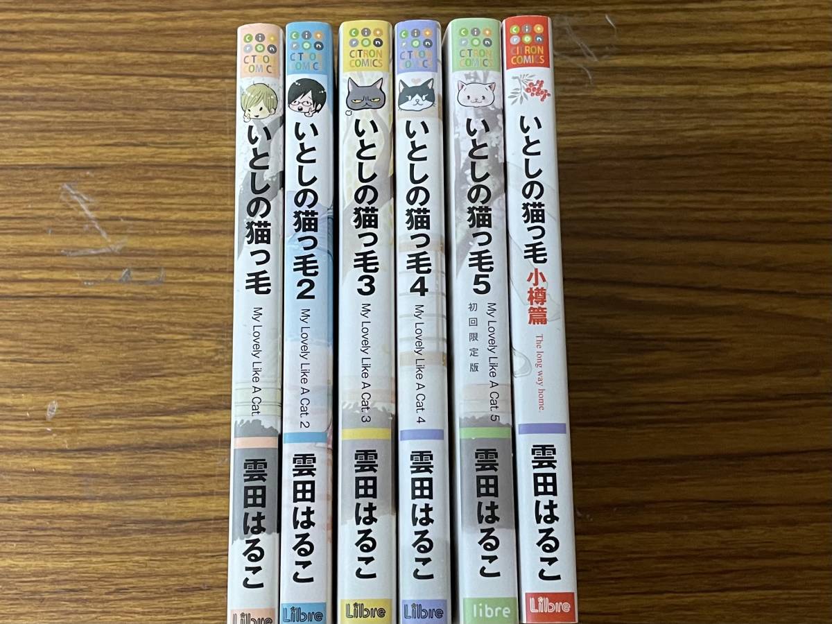 即決　いとしの猫っ毛 1-5巻＋小樽篇・6冊セット・雲田はるこ_画像2