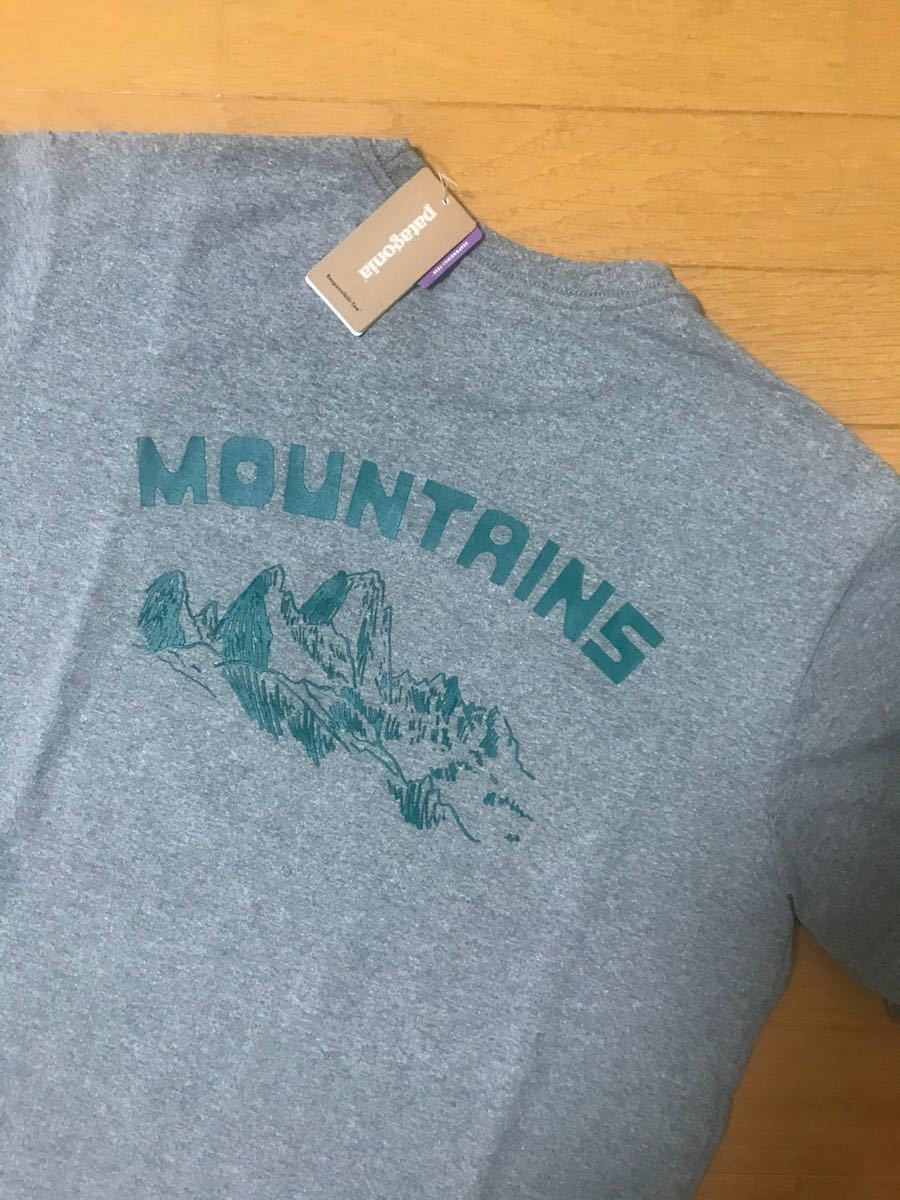 patagonia Tシャツ