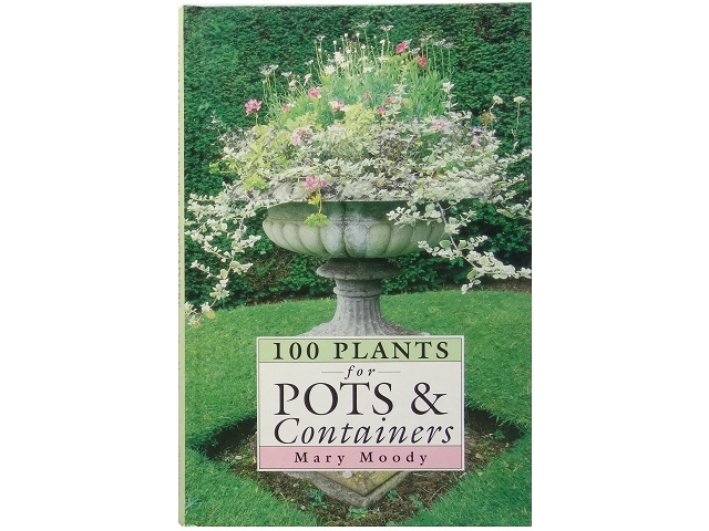 洋書◆植物の写真集 本 花 コスモス チューリップ マーガレット ほか
