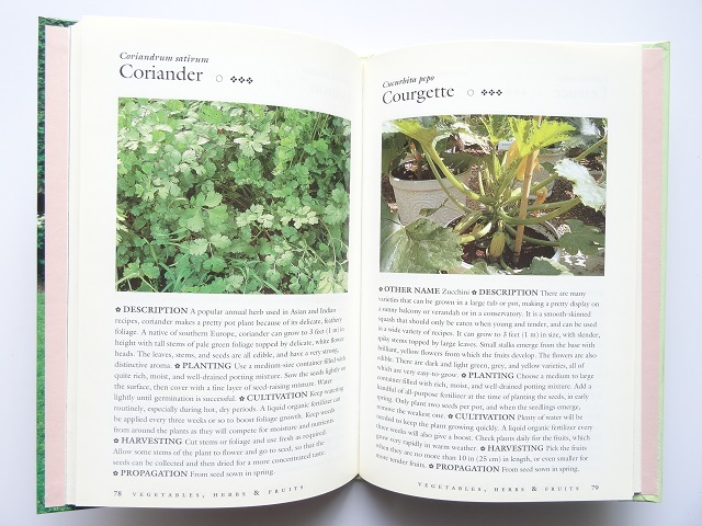 洋書◆植物の写真集 本 花 コスモス チューリップ マーガレット ほか_画像9