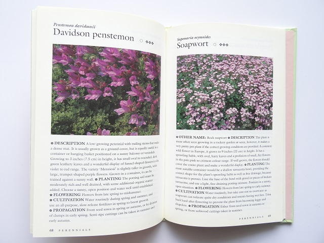 洋書◆植物の写真集 本 花 コスモス チューリップ マーガレット ほか_画像4