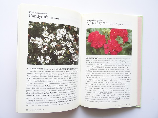 洋書◆植物の写真集 本 花 コスモス チューリップ マーガレット ほか_画像3