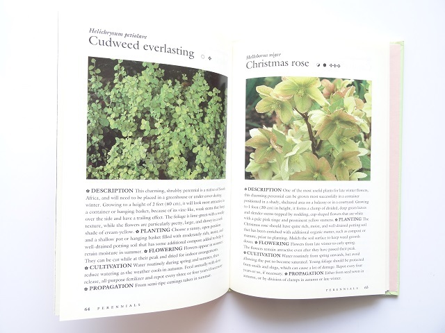 洋書◆植物の写真集 本 花 コスモス チューリップ マーガレット ほか_画像2