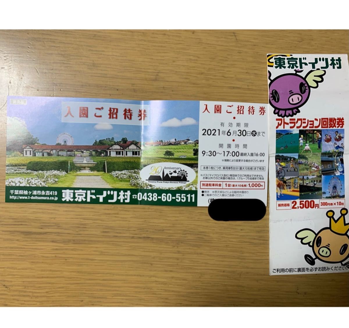 Paypayフリマ 東京ドイツ村 招待券と回数券 900円分 Paypayフリマ 東京ドイツ村 招待券と回数券 900円分