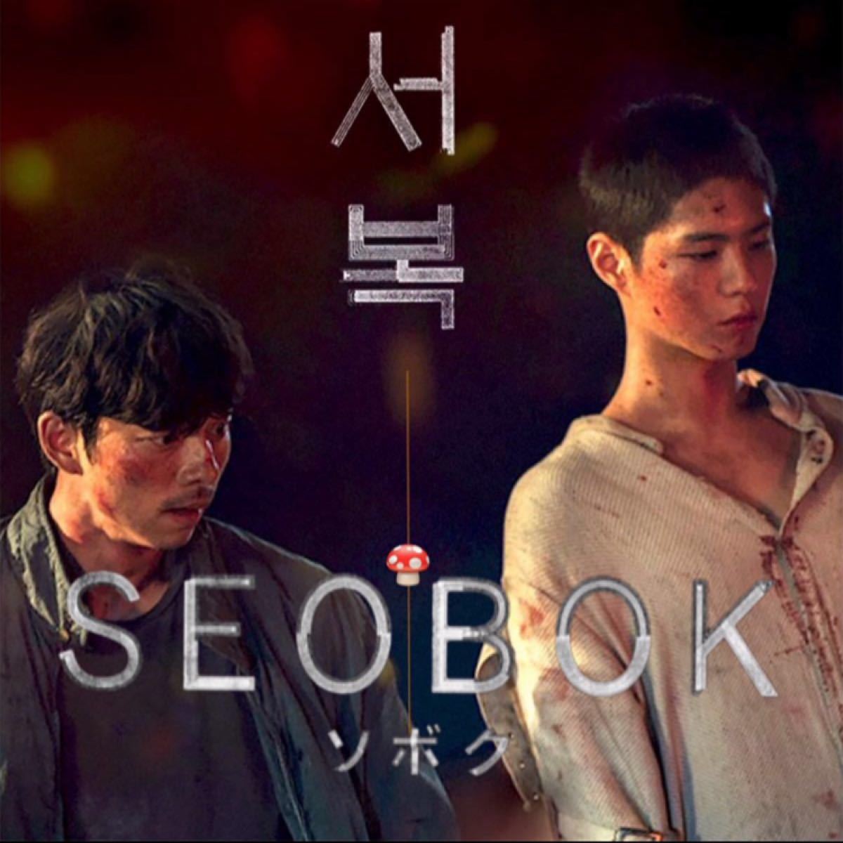 韓国映画　ソボク