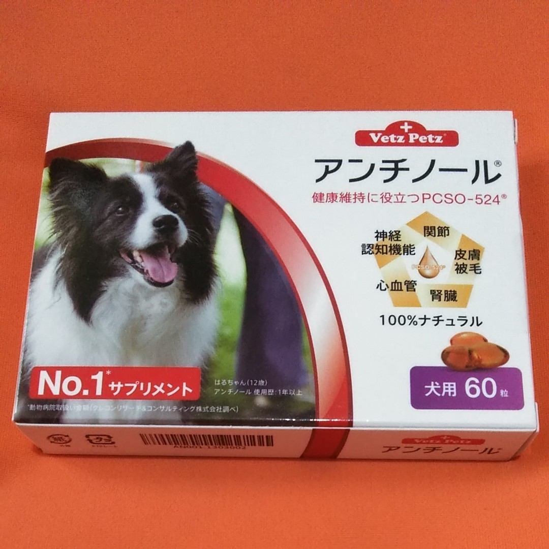 Paypayフリマ 犬用 アンチノール サプリメント60粒 1箱 期限23年7月 Paypayフリマ 犬用 アンチノール サプリメント60粒 1箱 期限23年7月