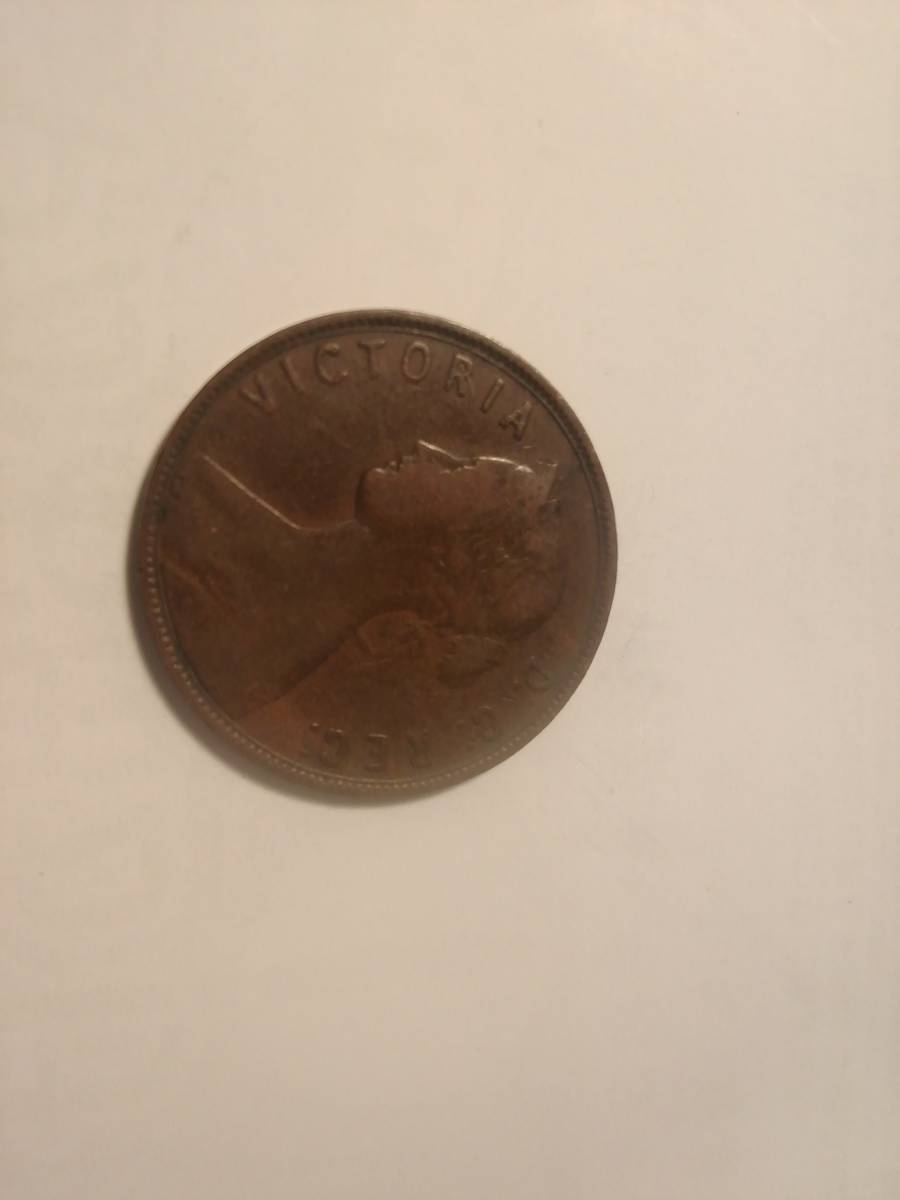 カナダ-ニューファンドランド、1894:銅貨1c=#KM1.VF/Fine