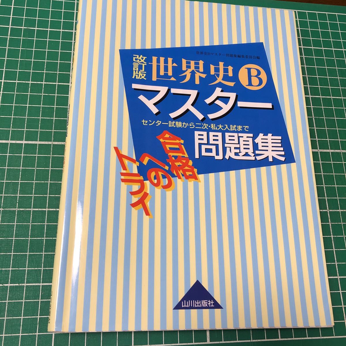 改訂版　世界史B マスター問題集 山川出版社 ★書き込み有り★