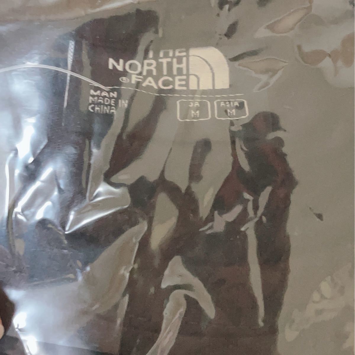 ノースフェイス tシャツ メンズ 半袖 THE NORTH FACE ザ ノースフェイス