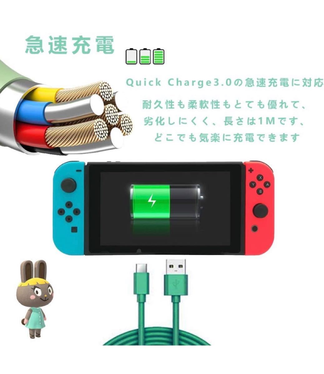 Nintendo Switch ケース あつまれ どうぶつの森セット