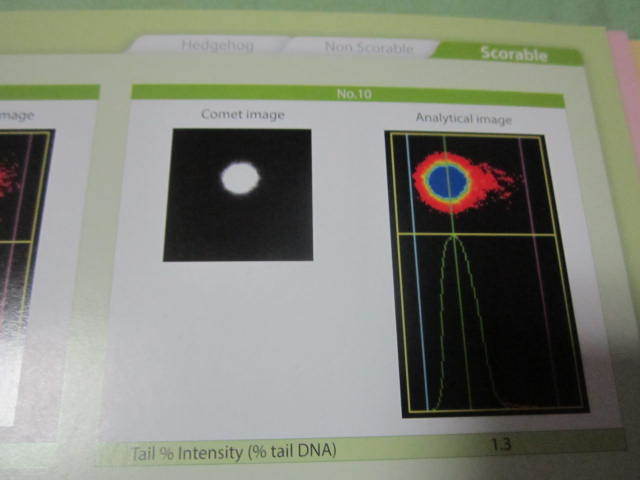 洋書　Atlas of Comet Assay Images　CD付　　(アトラス　　コメット試験　コメットアッセイ）_画像3