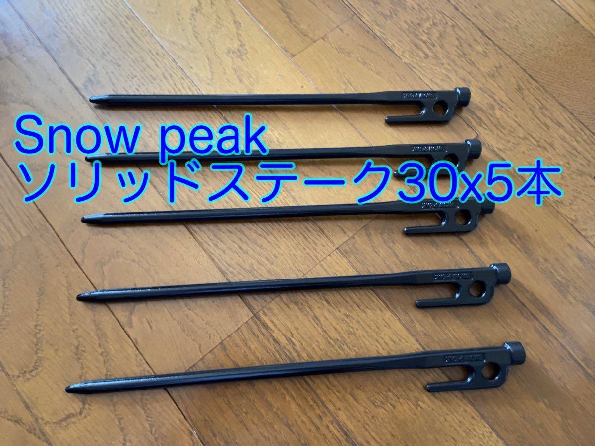 Snow peak スノーピーク ソリッドステーク 30 5本セット　新品