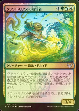 え金Foil クアンドリクスの栽培者 1枚（4枚在庫s 日 良品 STX）/Quandrix Cultivator（MTG /ストリクスヘイヴン：魔法学院/Strixhaven: Sch_画像1