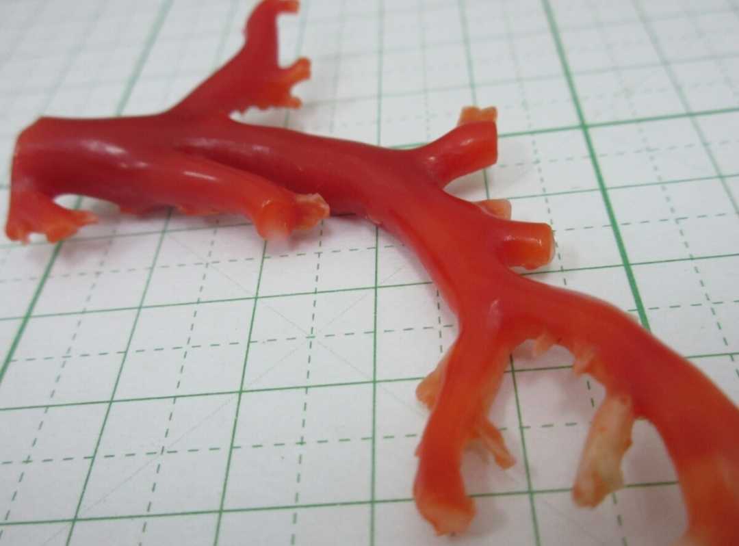 【TOP】血赤珊瑚 サンゴ 8.5g 枝 ルース オブジェ 根付 a958._画像8