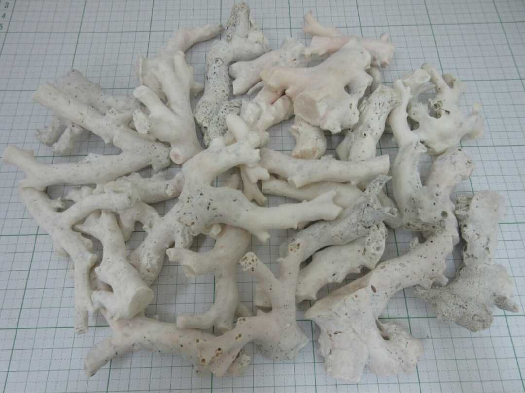 【TOP】珊瑚 サンゴ 1020g 枝 原木 セット ルース 材料 根付 c15._画像1