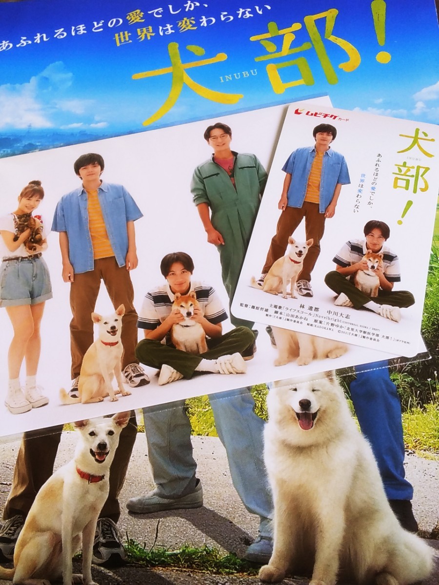 日本限定 映画「リクはよわくない」公式サイト 映画「犬部