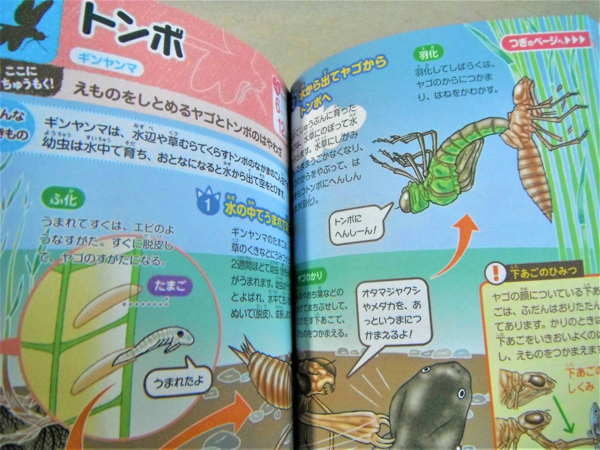 item_image_4