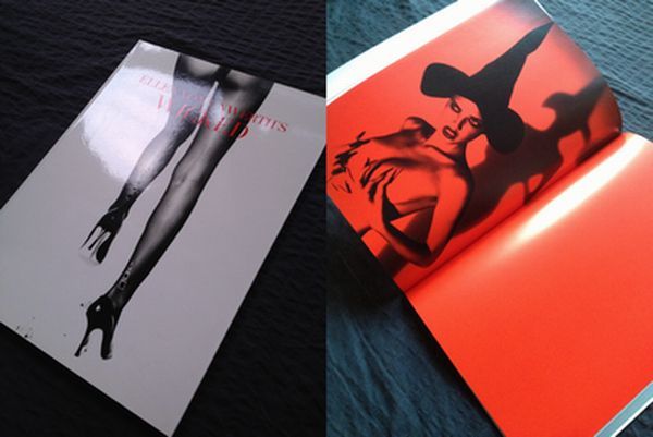 手数料安い 絶版 エレーンヴォンアンワース写真集【WICKED】VOGUE/マイゼル/ケイト/ヌード 希少★洋書 アート写真 手数料安い 絶版 エレーンヴォンアンワース写真集【WICKED】VOGUE/マイゼル/ケイト/ヌード 希少★洋書 アート写真