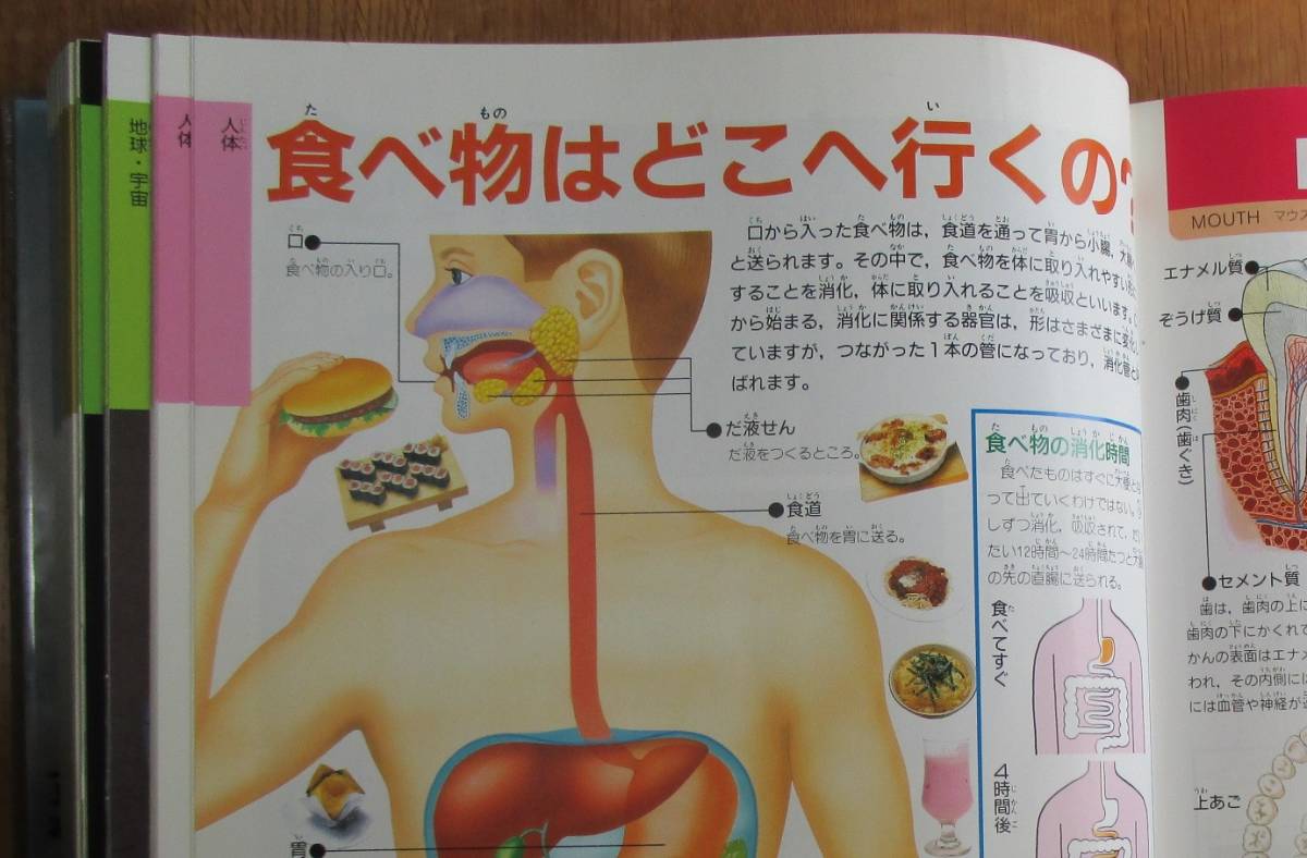 学研　ジュニア　自然大図鑑　エコロ