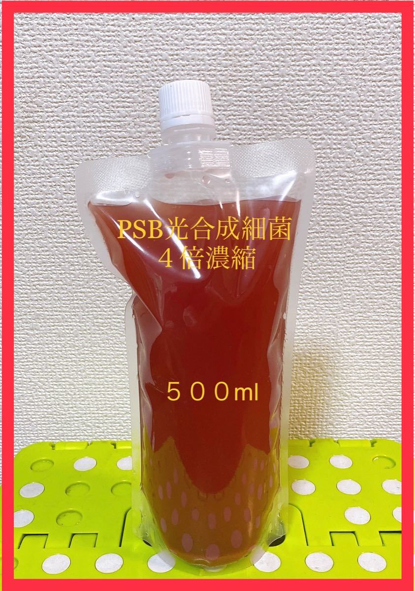 Paypayフリマ Psb光合成細菌500ml 4倍濃度 バクテリア めだか らんちゅう 金魚 熱帯魚 ミジンコ ゾウリムシ クロレラに最適32 Paypayフリマ Psb光合成細菌500ml 4倍濃度 バクテリア めだか らんちゅう 金魚 熱帯魚 ミジンコ ゾウリムシ クロレラに最適32