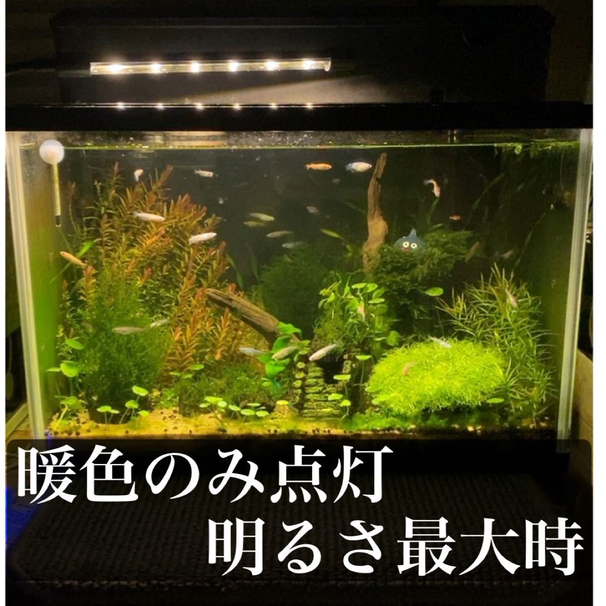 Paypayフリマ 水槽 Led 3色 白暖 暖色 白 切替 10段階調光 省電力7w 新品動作確認済み Paypayフリマ 水槽 Led 3色 白暖 暖色 白 切替 10段階調光 省電力7w 新品動作確認済み