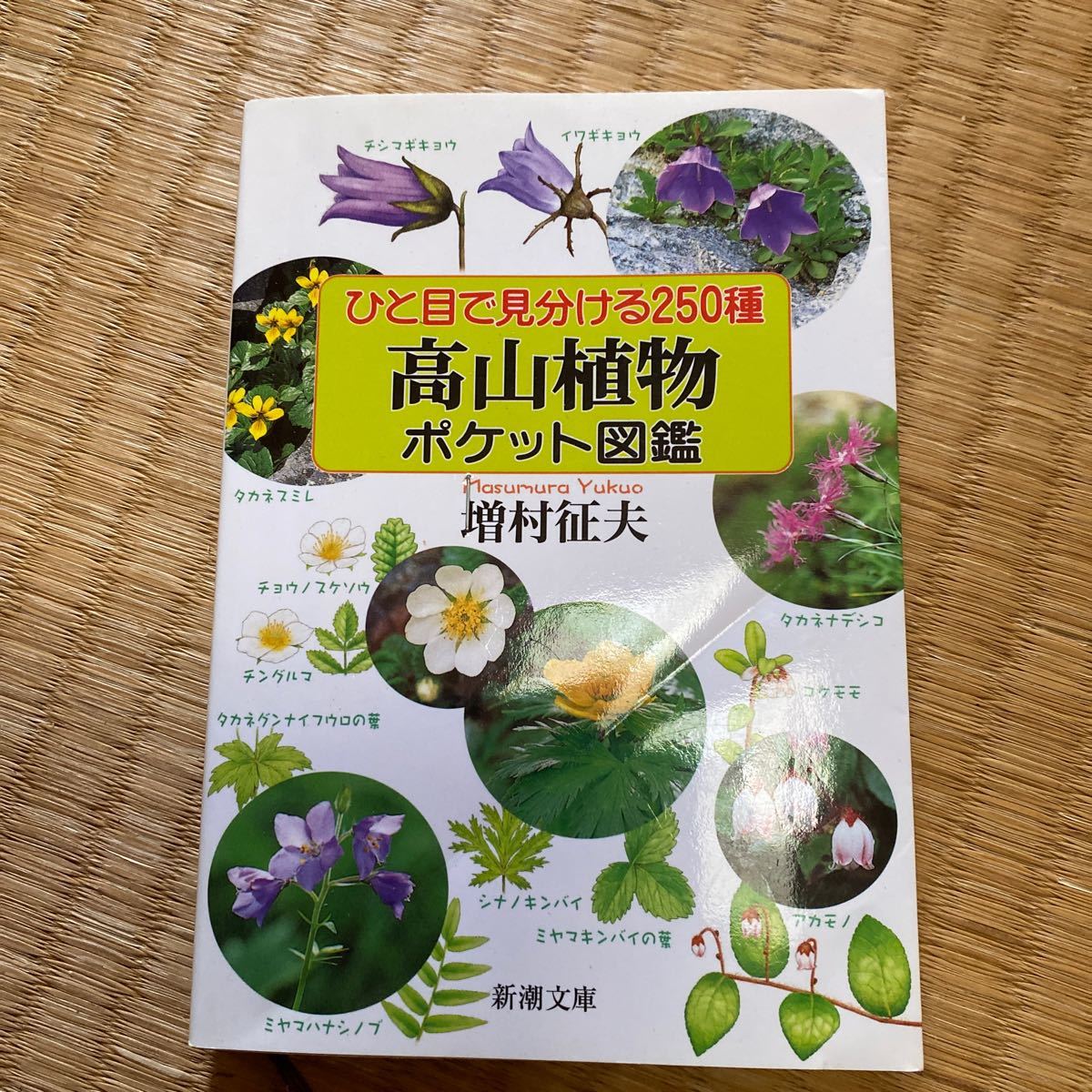 Paypayフリマ 高山植物 ポケット図鑑 Paypayフリマ 高山植物 ポケット図鑑