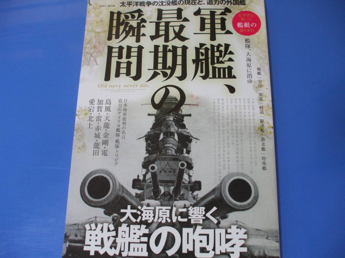 軍艦 最期の瞬間 日本代购 买对网 軍艦 最期の瞬間 日本代购 买对网