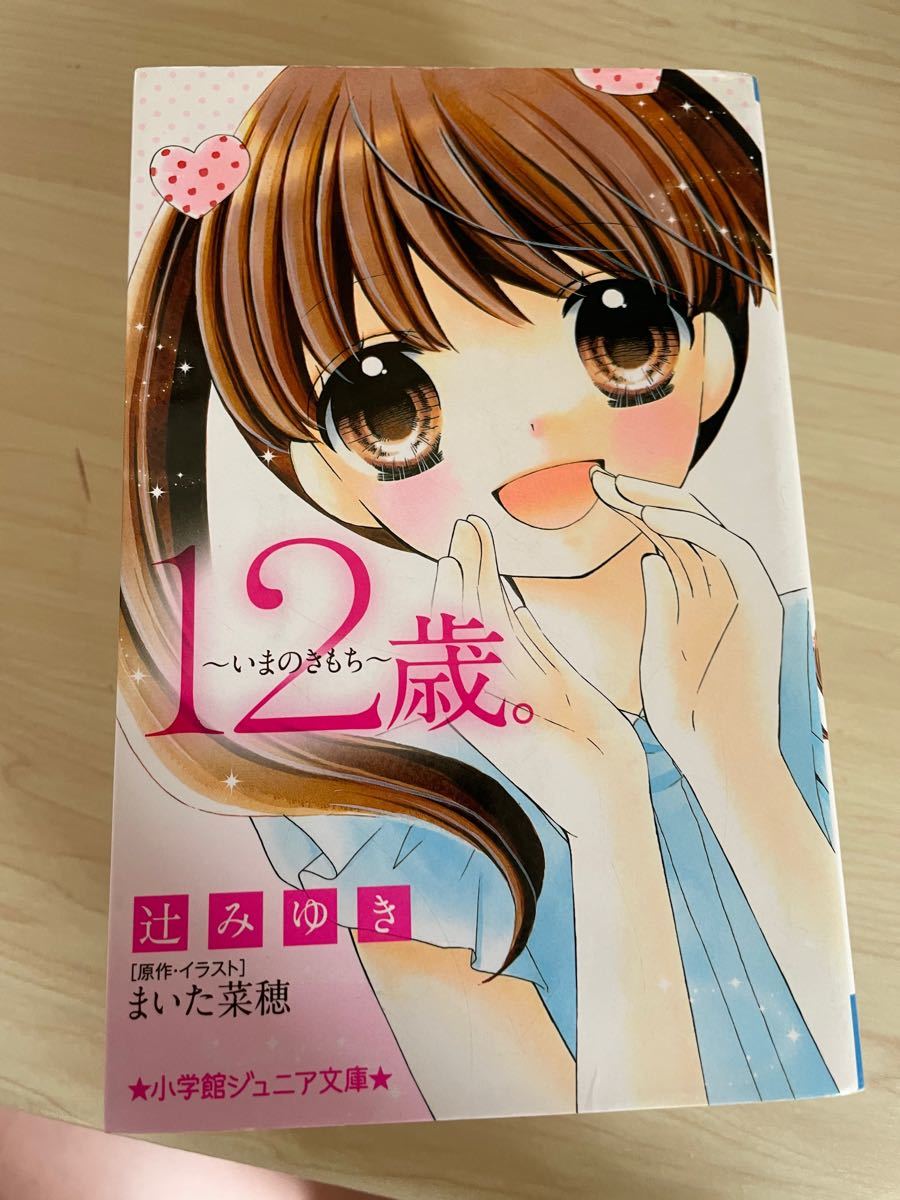 Paypayフリマ 12歳 小説版 Paypayフリマ 12歳 小説版