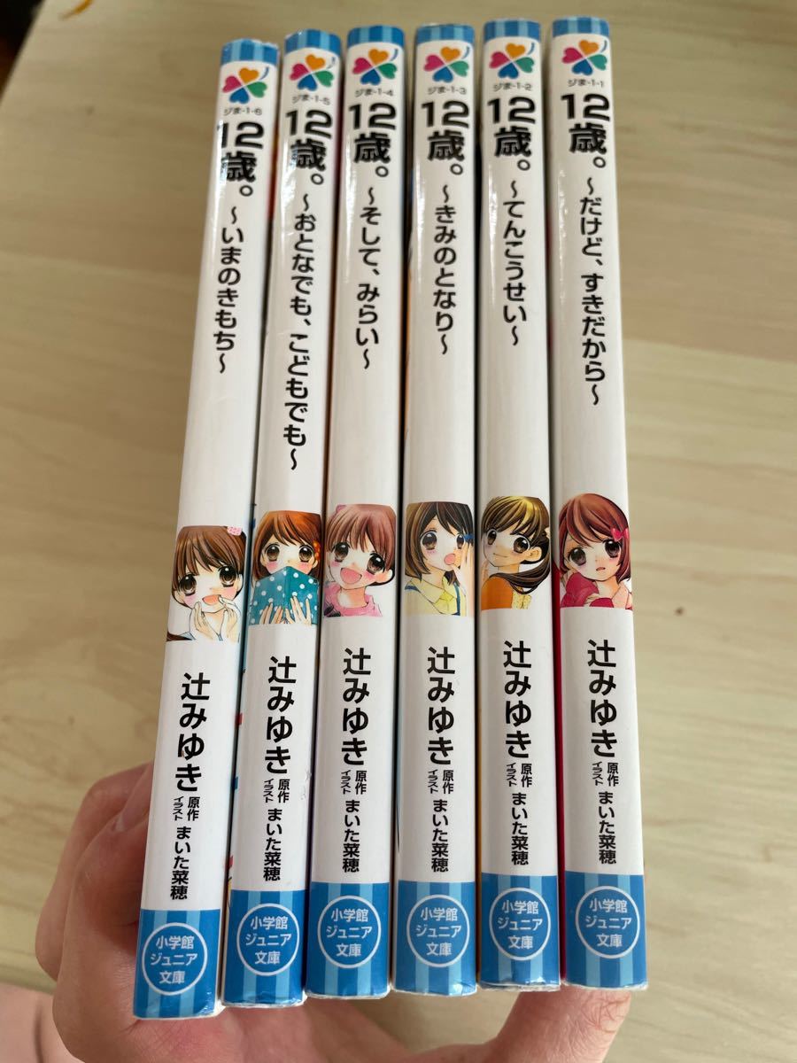 Paypayフリマ 12歳 小説版 Paypayフリマ 12歳 小説版