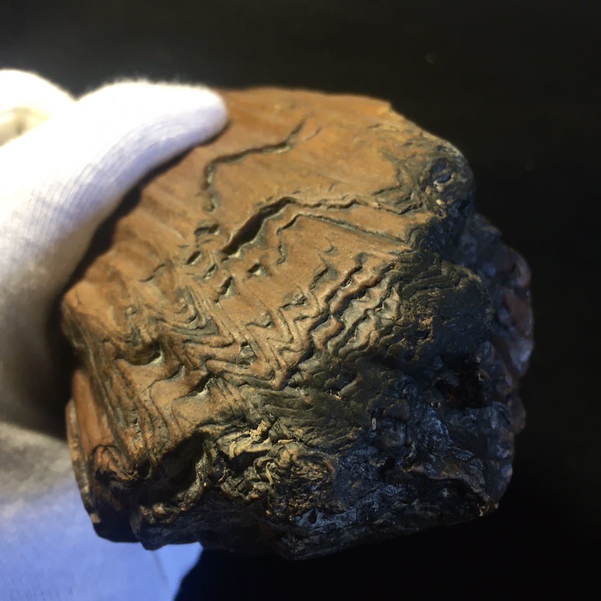 ヤフオク! - 1500万年前 大迫力の巨塊 ガラス化 珪化木 瑪瑙
